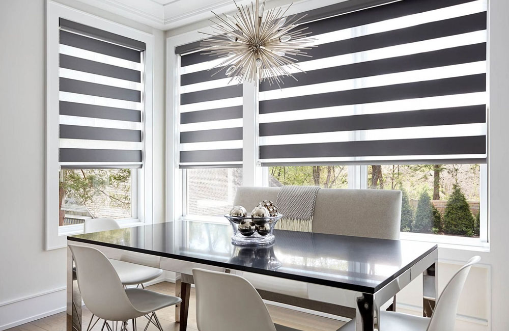 Zebra Blinds